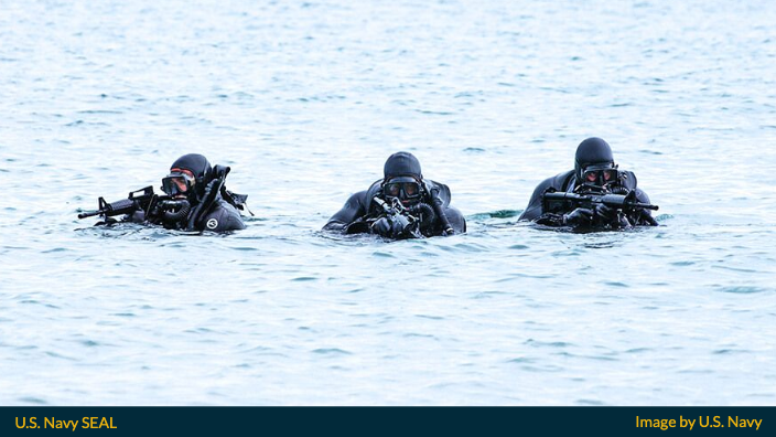 Become a U.S. Navy SEAL (2023)